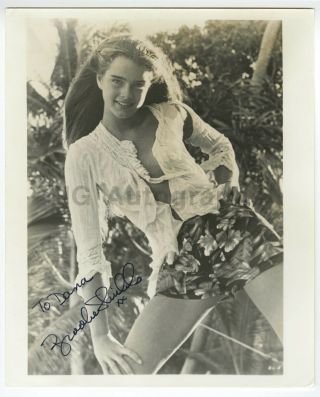 Brooke Shields - Actress - Autographed 8x10 Photograph - Early Career Signature