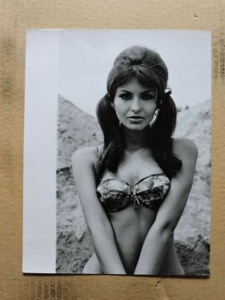 Janet Shapiro Busty Bikini Pinup Portrait Photo By Lothar Winkler 1960s