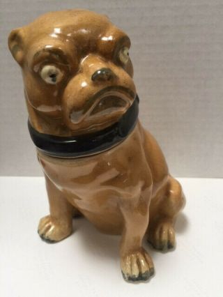 19thc Large Majolica Pug Dog Humidor Tobacco Jar C.  1870