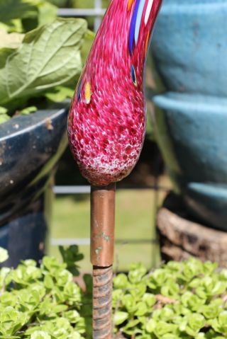 LISTING RESERVED FOR MARK Cranberry Pink Glass Fiddlehead Garden Art 5
