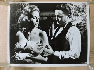 Robert Vaughn & Luciana Paluzzi Busty Photo 1964 To Trap A Spy - Man From Uncle
