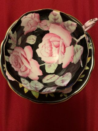 Hand Painted Paragon Pink Roses On Black Tea Cup.  The Saucer Is 1850 Foley Bone