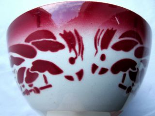French Vintage Majolica Bowl,  Signed Badonviller: 4 Red Parrots On Their Perches