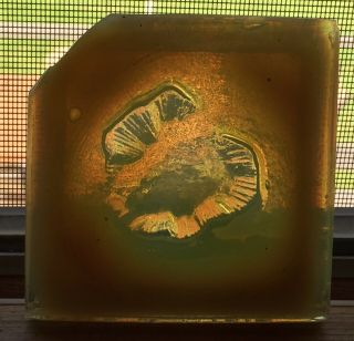 Antique Tiffany Lct L.  C.  T.  " Shell " 3 " Square Glass Fireplace Tile
