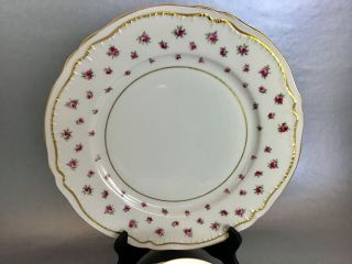 Vintage Theodore Haviland Wilton Pink Roses York Set Of 4 Dinner Plates