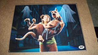 Bam Box Scooby Doo " Shaggy " Photo Signed By Matthew Lillard W/ 8 X 10