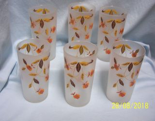 Vintage Drinking Glasses: 6 Frosted Jewel Tea Autumn Leaf Tumbler Glasses - Hall