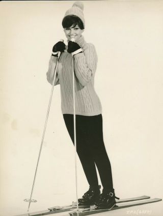 Claudia Cardinale Skis Vintage 1964 The Pink Panther Portrait Photo