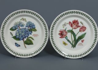2 Portmeirion Botanic Garden Hydrangea & Pink Parrot Tulip Dinner Plates England