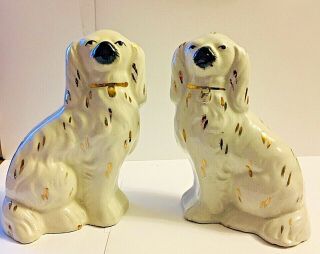 Vintage Pair (2) Staffordshire Ware Spaniels 5 3/4 " By 4 " Victorian