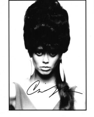 Cindy Wilson Signed Autographed 8x10 Photo B - 52 