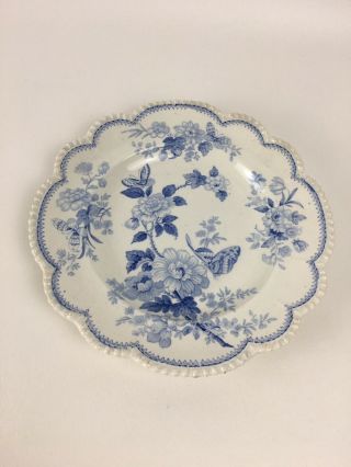 Staffordshire Earthware Plate Flora Pattern By John Rogers Circa 1830’s