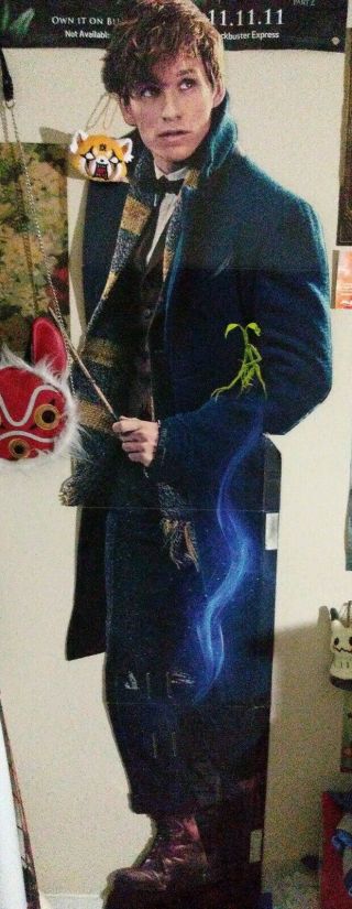 Newt Scamander Fantastic Beast And Where To Find Cardboard Dvd Display Cutout