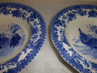 6 TABLETOPS GALLERY William James Farmyard Blue Rimmed Bowls Rooster 3