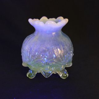 Antique Sowerby Opalescent Piasa Bird Spittoon 3 Footed Vase / Bowl Unique Exc
