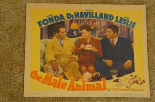 Male Animal Henry Fonda Olivia De Havilland Jack Carson 1942