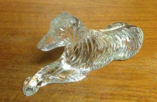 Rare Waterford Crystal Irish Dog Wolfhound Figurine Paperweight Sculpture Nr