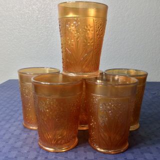 6 Vtg Rare Marigold Carnival Glass Flower Design Trim Juice Glasses 4” Tall