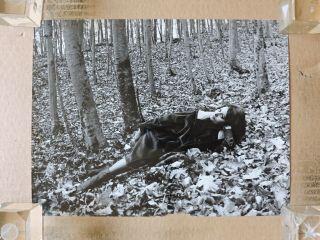 Sophia Loren Laying In The Woods Orig Candid Portrait Photo By Pierluigi 1963