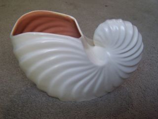 Vintage Catalina Art Pottery 9 " Length Seashell/conch Vase.  Usa.