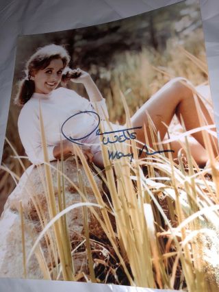 Dawn Wells Signed 8x10 Sexy Photo Autographed Auto Gillian’s Island Mary Anne