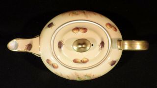 Aynsley Orchard Gold Fruit teapot artist signed England 6
