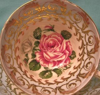 Foley Deep Pink And White Cabbage Rose Heavy Gold Gilt Pale Blue Cup And Saucer