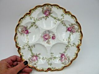 Haviland & Co.  Limoges China Cabbage Rose Shabby Chic Oyster Plate