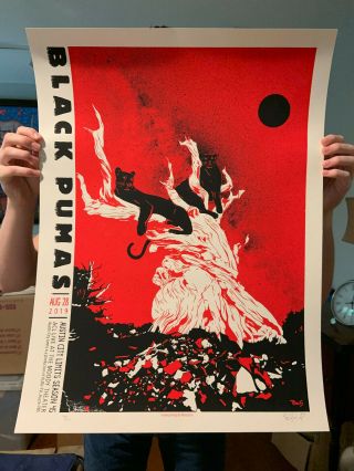 Black Pumas - Rare Acl Taping 2019 - Billy Perkins Concert Poster