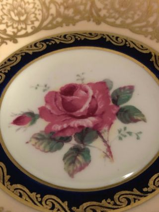 Cobalt Blue Gold Paragon Double Warrant Cup and Saucer Pink Rose 4