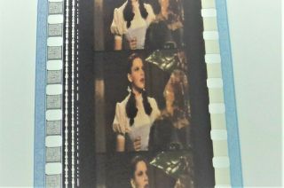 Wizard Of Oz 12 Film Cell Strips - 60 Film Cells