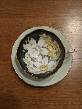Paragon Bone China Green On Black Floral Tea Cup And Saucer Spring Bouquet