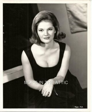Young Sexy Busty Gena Rowlands Vintage Portrait Still