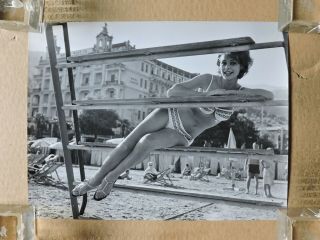 Karin Heske Leggy Bikini Pinup Portrait Photo By Lothar Winkler 1960 
