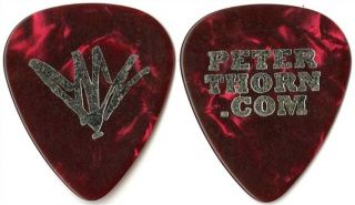 Chris Cornell 2009 Scream Tour Issued Peter Thorn Custom Stage Guitar Pick