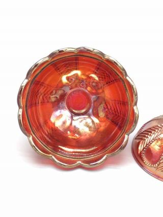 Imperial Feathers (Panel Feather) box in Sunset Ruby Carnival Glass Contemporary 3