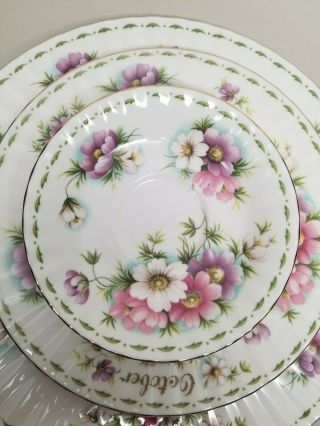 Royal Albert Flower of the Month Series OCTOBER Tea Cup Plate 4 pc Set COSMOS 4