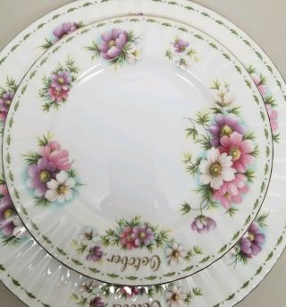 Royal Albert Flower of the Month Series OCTOBER Tea Cup Plate 4 pc Set COSMOS 6