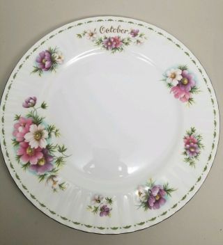 Royal Albert Flower of the Month Series OCTOBER Tea Cup Plate 4 pc Set COSMOS 8