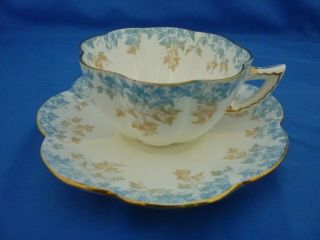 Wileman Foley " Pre Shelley " Cup And Saucer 5045