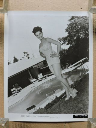 Debra Paget Leggy Swimsuit Pinup Portrait Photo 1950 