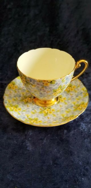 Shelley Teacup And Saucer Primrose Chintz
