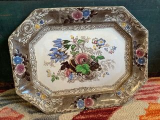 Antique 1800’s E.  Challinor & Co.  “canella” Transferware Porcelain 15.  5” Platter