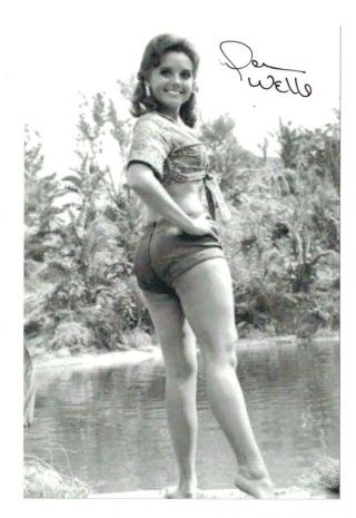 Dawn Wells Signed Autographed 4 X 6 Photo Mary Ann Gilligan 