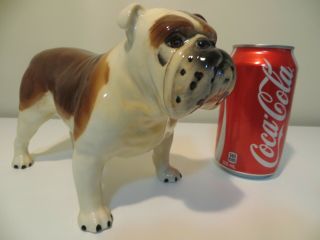Large Vintage Beswick Bulldog Ch Basford British Mascot Porcelain Figurine 8 "