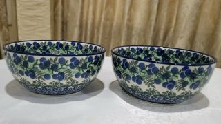 2 Hand Painted Boleslawiec Polish Ceramic Pottery Cereal/soup/fruit Bowls Medium