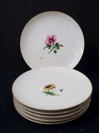 (6) Vintage Kpm Porcelain Dessert/salad Plates Berlin Germany,  Various Flowers