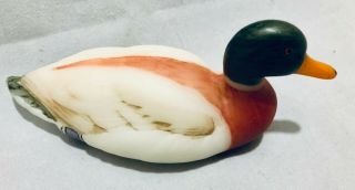 Fenton Mallard Duck