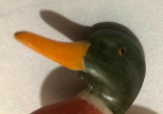 Fenton Mallard Duck 6