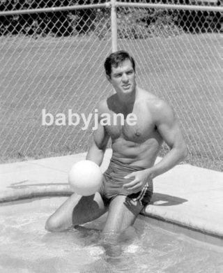 048 John Gavin Hairy Chest Bulging Bathing Suit Beefcake Photo